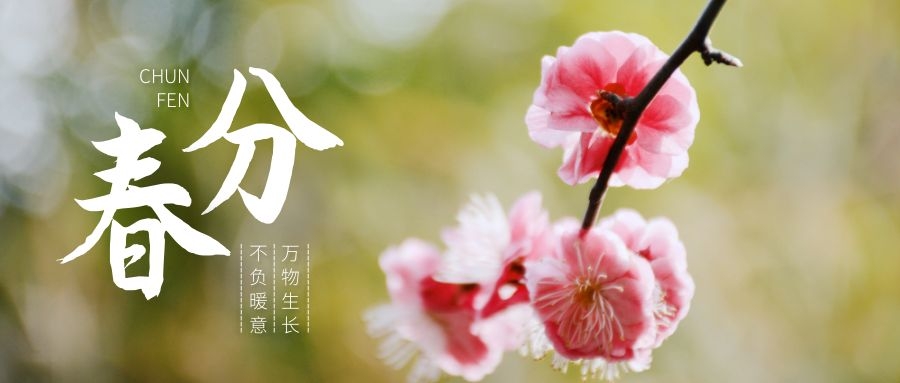 春分時節(jié)萬物生長，這份養(yǎng)生寶典一定要收藏！